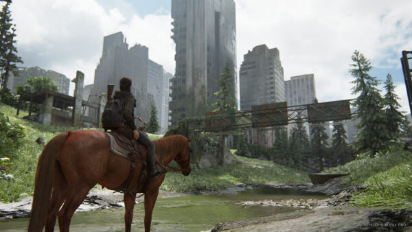 qywSSgTHYWWXn8HrEdRHFC The Last of Us™ Part II – PS4 Game